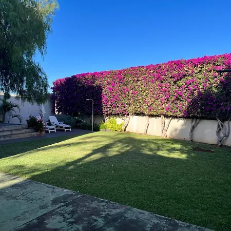 Dream Garden *