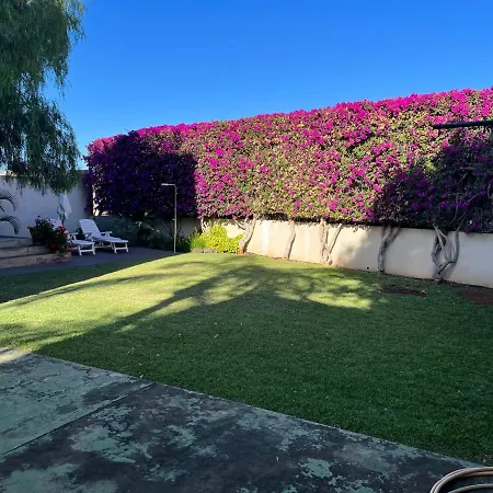 Apartment Dream Garden Santa Cruz de Tenerife