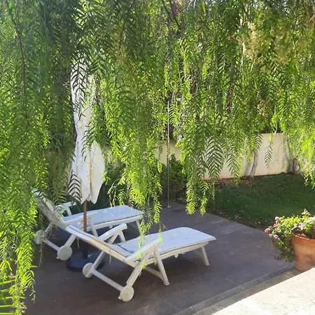 Apartment Dream Garden *