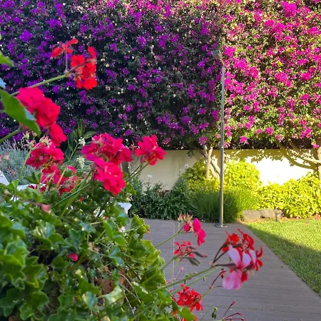 Dream Garden Apartment