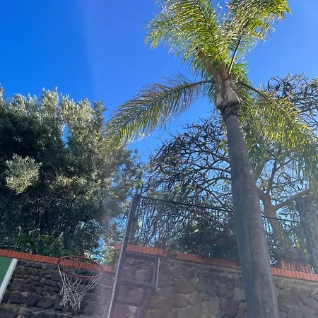 Apartment Dream Garden Santa Cruz de Tenerife