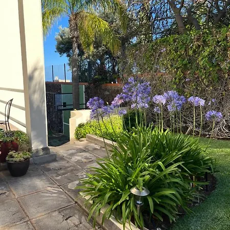 Apartment Dream Garden